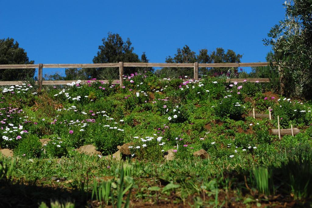 Agriturismo Val Di Nappo Castiglione della Pescaia Buitenkant foto